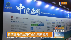 构筑世界级盐湖产业发展新格局