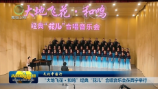 文化中国行 “大地飞花·和鸣” 经典“花儿”合唱音乐会在西宁举行