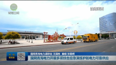 国网青海电力开展多项综合应急演练护航电力可靠供应