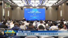 2026年“数据要素×” 大赛青海分赛全面启动
