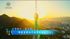 今日青海 20260727 解锁夏都西宁的多种面孔（一）