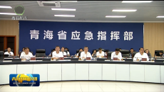 全省防汛工作视频调度会议召开 罗东川出席并讲话