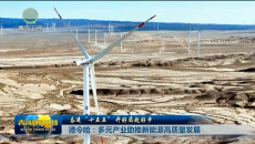 【奋进“十五五” 开好局起好步】德令哈：多元产业助推新能源高质量发展