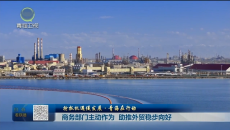 【抢抓机遇促发展·青海在行动】商务部门主动作为 助推外贸稳步向好