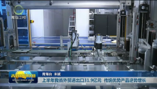 上半年我省外贸进出口31.9亿元 传统优势产品逆势增长