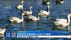 晚间播报 20260801