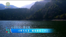 今日青海 20260803 以绿色之名 邂逅海东（一）