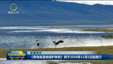 联播简讯 