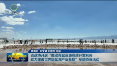 省政协开展“推动青盐资源高效开发利用 助力建设世界级盐湖产业基地”专题协商活动
