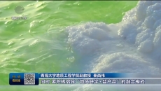 青海：专家学者“把脉问诊助推青盐资源高效利用