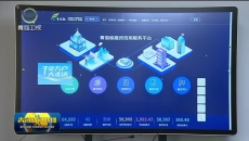 【抢抓机遇促发展·青海在行动】青海省财政厅推动财金联动政策加速落地