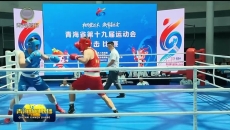 青海省第十九届运动会格尔木赛区拳击项目开赛
