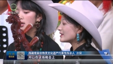 格萨尔古乐专场音乐会在西宁上演