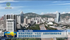 青海省开局起步“十五五”主题系列新闻发布会 国民健康专场发布会召开
