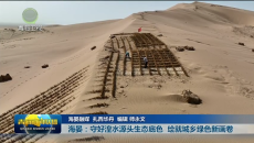 海晏：守好湟水源头生态底色 绘就城乡绿色新画卷