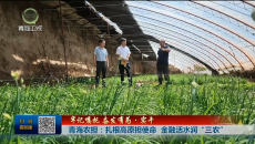 【牢记嘱托 奋发有为·实干】青海农担：扎根高原担使命 金融活水润“三农”