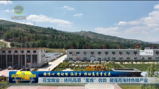 花宝蜂业：依托高原“蜜库”优势 做强青海特色蜂产业