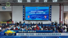 乒乓球（青少年组）比赛在海西州乌兰县圆满收官