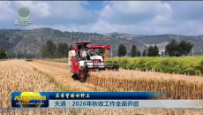 大通：2026年秋收工作全面开启