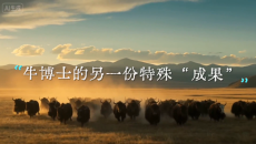 昆仑长歌 江河安澜 生态文明情景宣讲 牛博士的另一份特殊“成果”