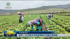市州县传真 湟中：13万亩冷凉蔬菜铺就乡村振兴幸福路