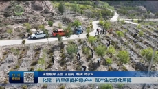 化隆：抗旱保苗护绿护林 筑牢生态绿化屏障