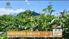 扎根高原担使命 金融活水润“三农”