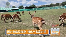 返乡创业引鹿来 特色产业富乡邻
