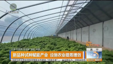 新品种试种赋能产业 设施农业提质增效