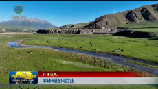 【江源近观】串珠成链兴百业