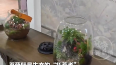 方寸见乾坤！走进西宁植物园解锁苔藓的微观世界