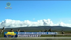 【市州县传真】长江源村绘就富民新答卷