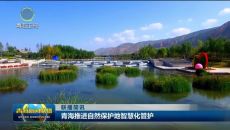 联播简讯 20260829
