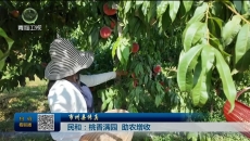 【市州县传真】民和：桃香满园 助农增收