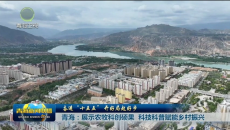 奋进“十五五” 开好局起好步 青海：展示农牧科创硕果  科技科普赋能乡村振兴