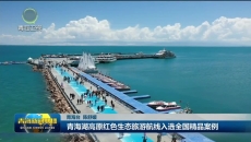 联播简讯 20260902