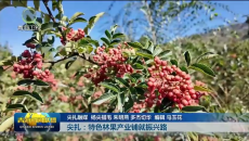 尖扎：特色林果产业铺就振兴路