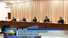 全省支援协作帮扶工作座谈会召开 吴晓军讲话 罗东川主持