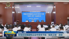 青海省省属国有企业中青年干部“培育工程”启动