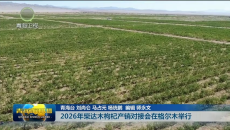 2026年柴达木枸杞产销对接会在格尔木举行