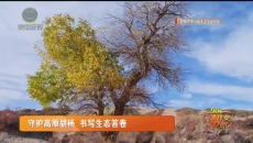 守护高原胡杨 书写生态答卷