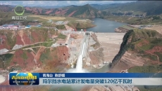 玛尔挡水电站累计发电量突破120亿千瓦时