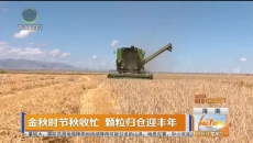 金秋时节秋收忙 颗粒归仓迎丰年