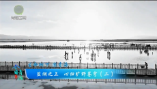 今日青海 20260908 盐湖之上 心归旷野苍穹（二）
