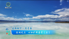 今日青海 20260909 盐湖之上 心归旷野苍穹（三）
