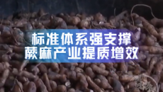 以质量赋能发展 青海省质量强省十大案例出炉