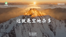 这就是宝地杂多