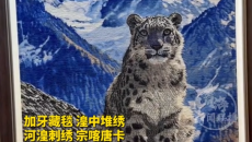 青海唯一！西宁湟中区入选2026民间文艺版权保护试点