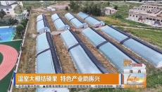 温室大棚结硕果 特色产业助振兴