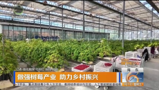 做强树莓产业 助力乡村振兴